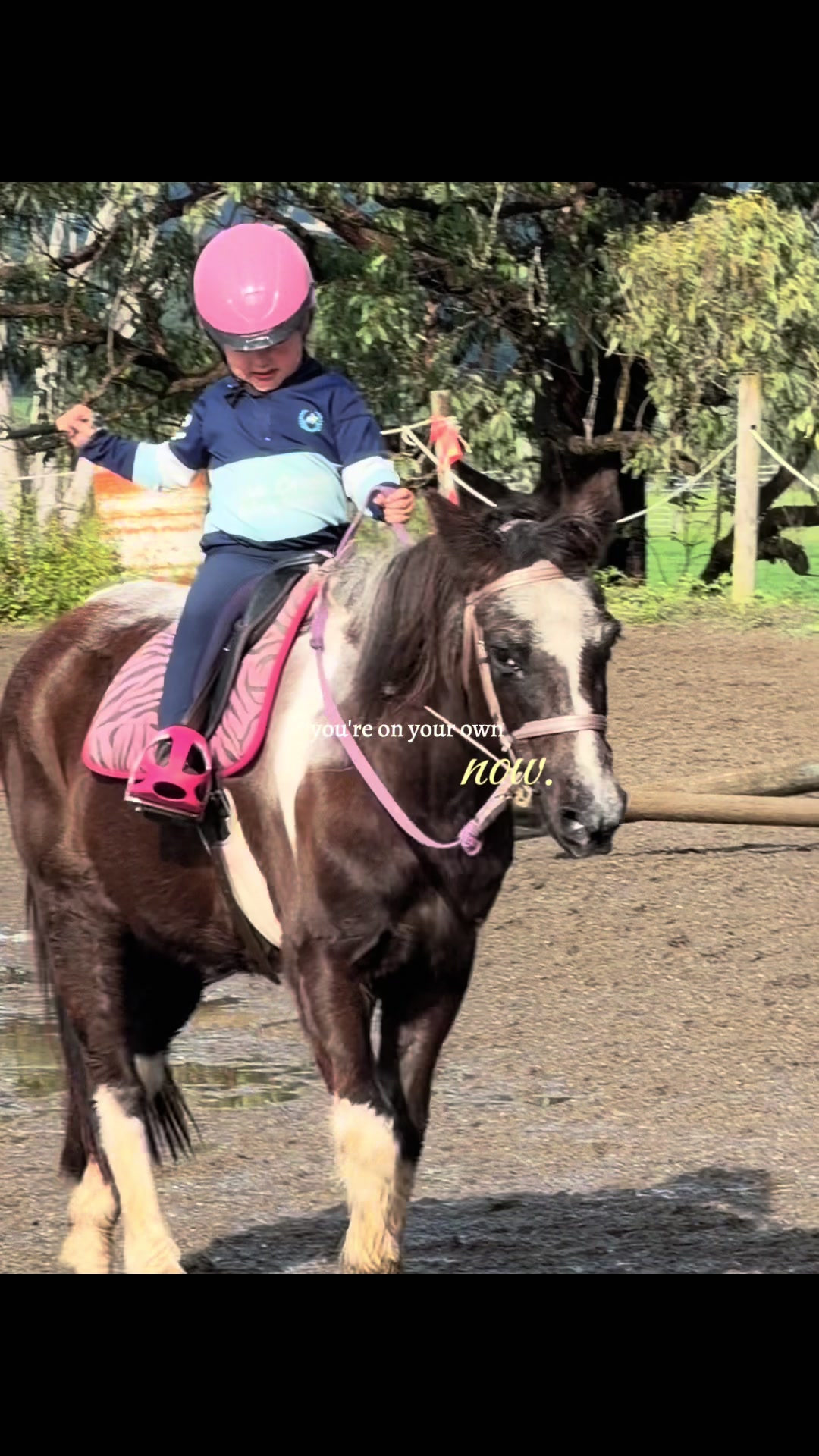 @RV Park Show Ponies