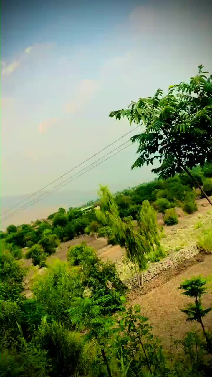 @𝐇𝐚𝐛𝐢𝐛𝐮𝐥𝐥𝐚𝐡 𝐢𝐤🏏