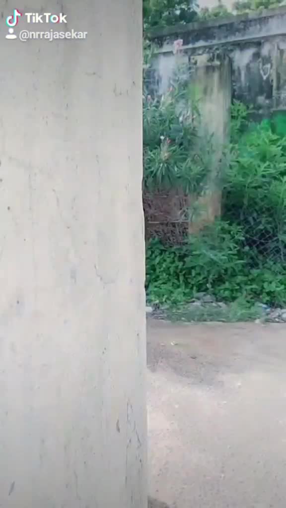@Nrrajasekar