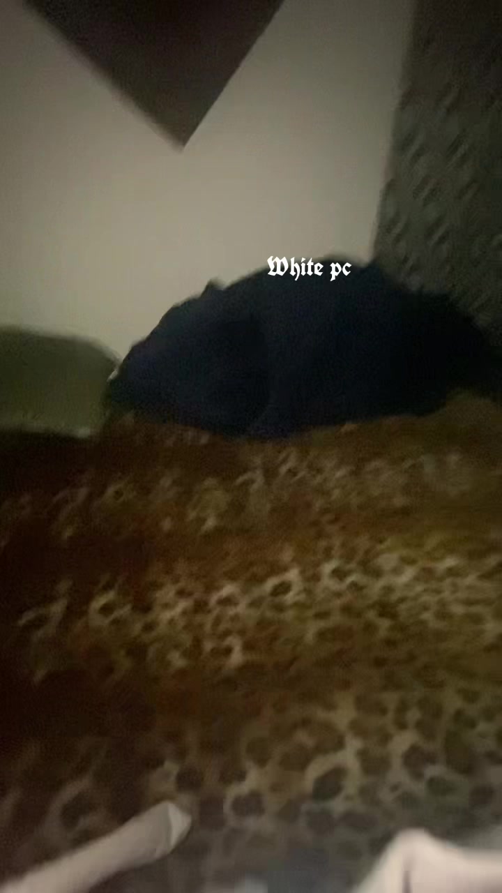 @adrianthajoint16🏆