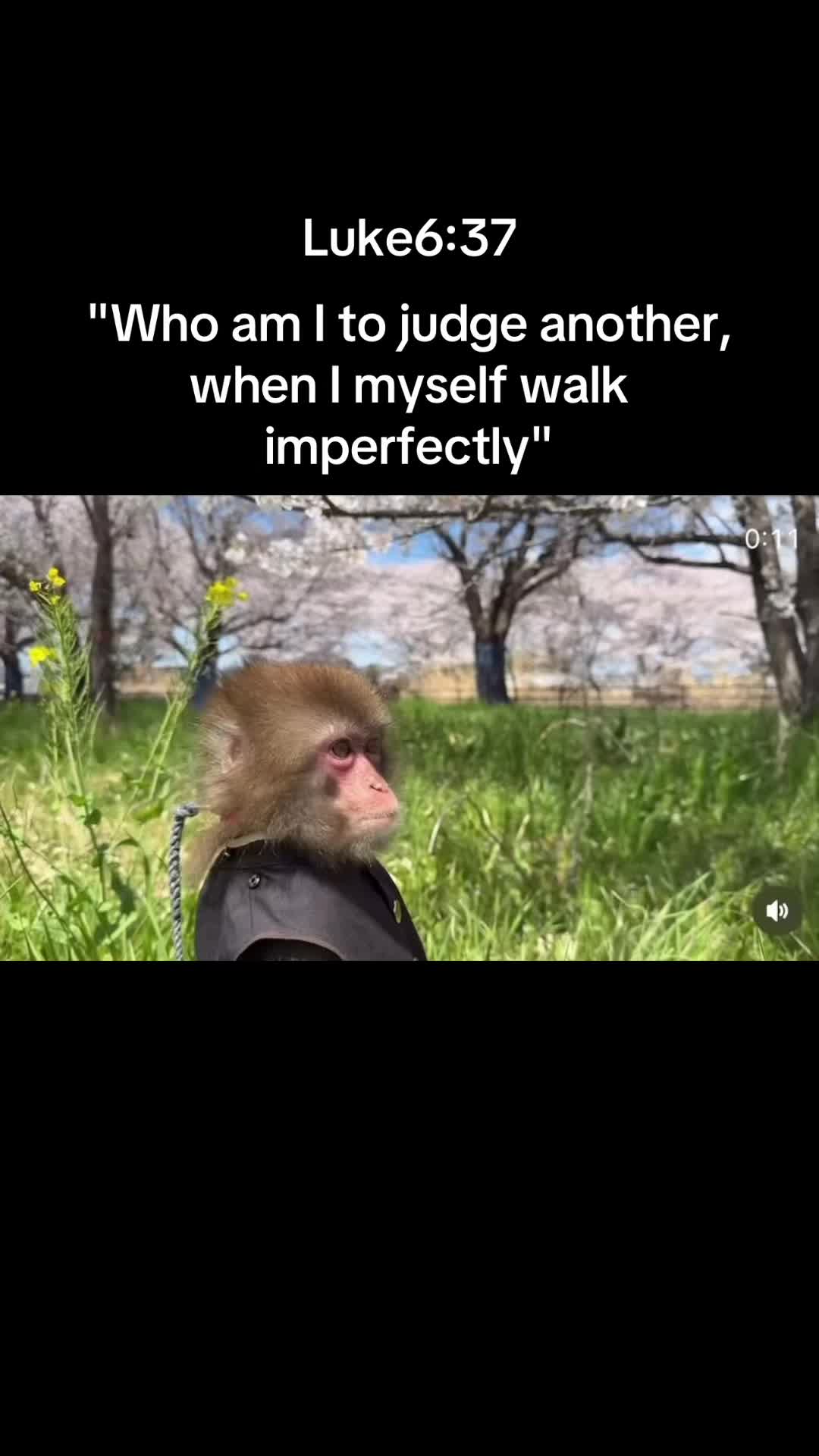 @Itsreal