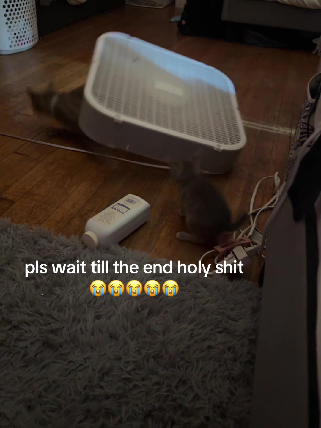 @ri :))