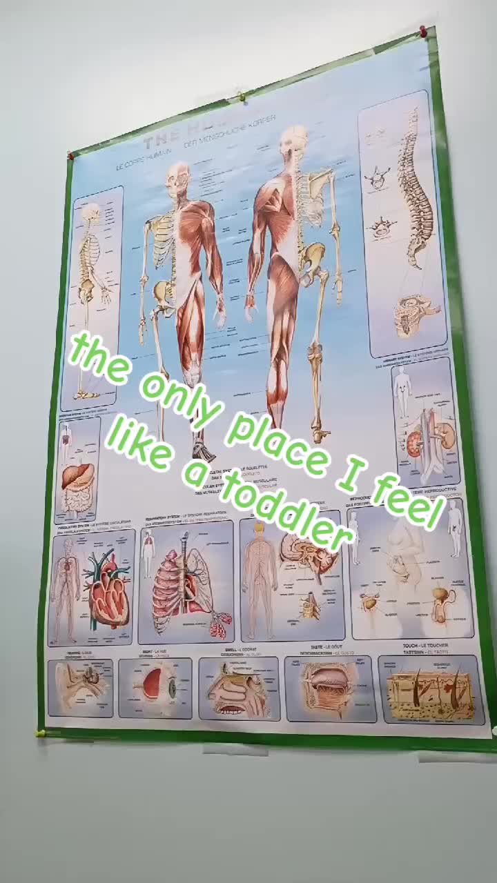@KingGeedra