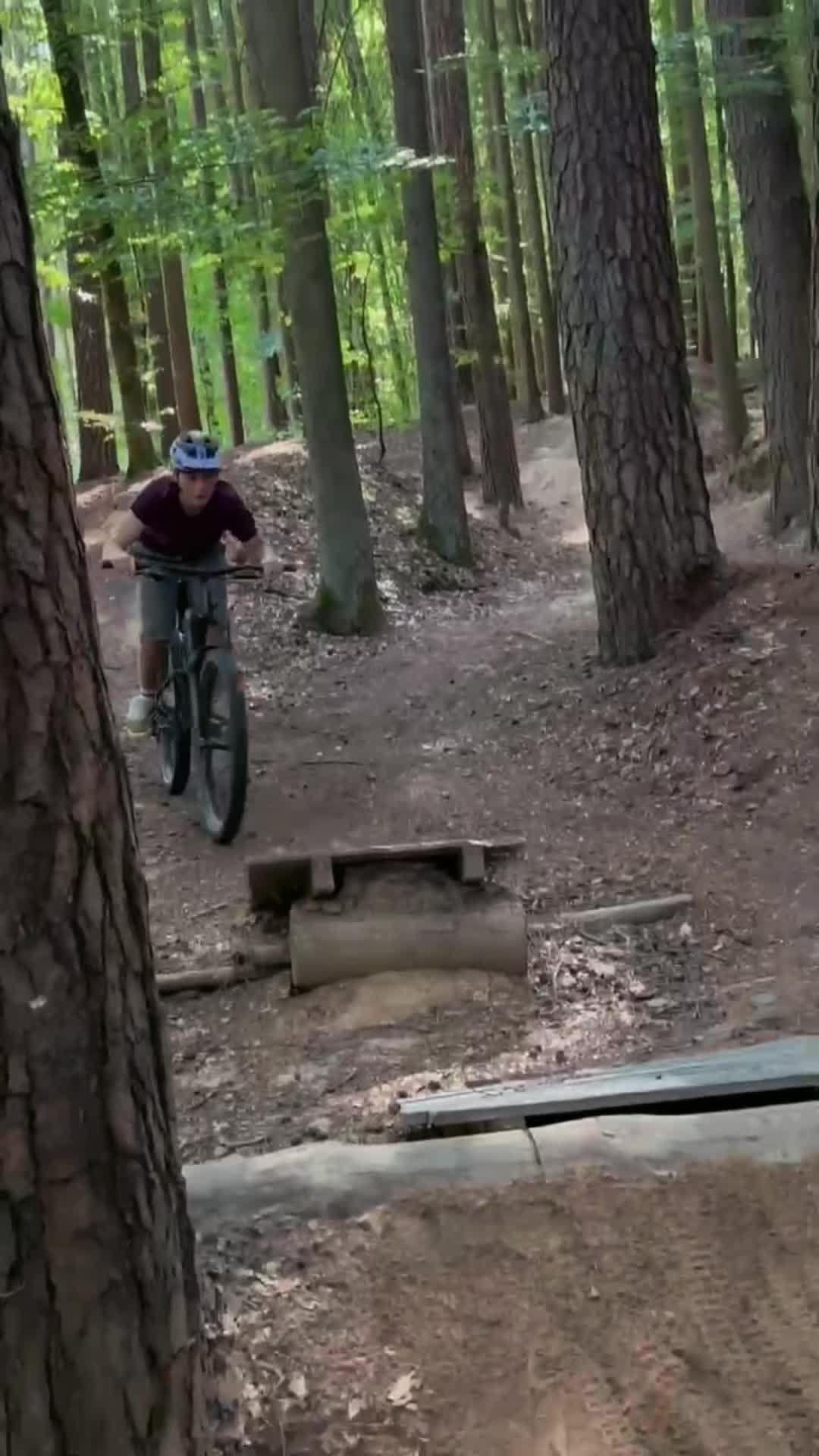 @Freeride_Linus😁