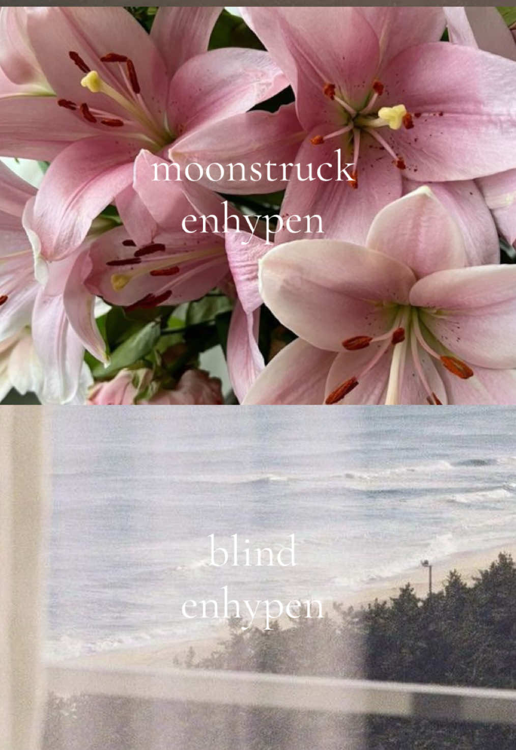 @𝒸𝒽𝓇 𝜗ৎ