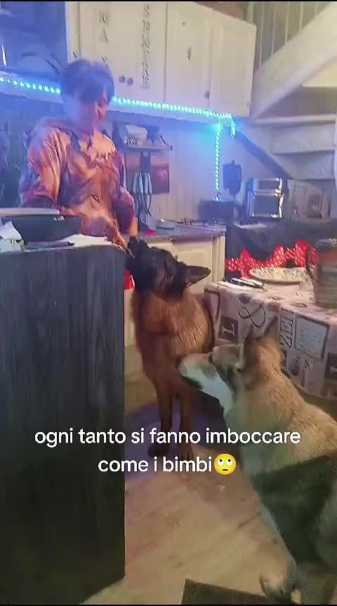@Simona Wolves