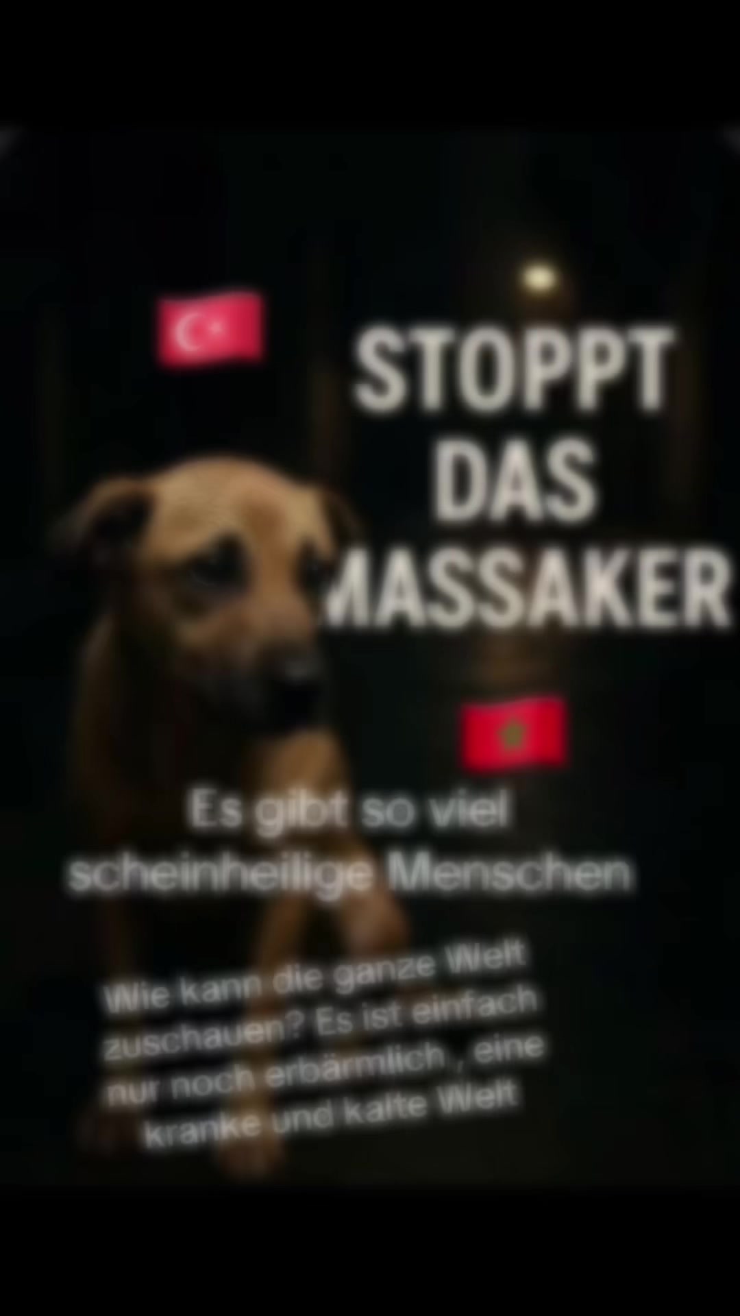 @Lua Team🐈🐕🦺Löwenherz❤️🦁
