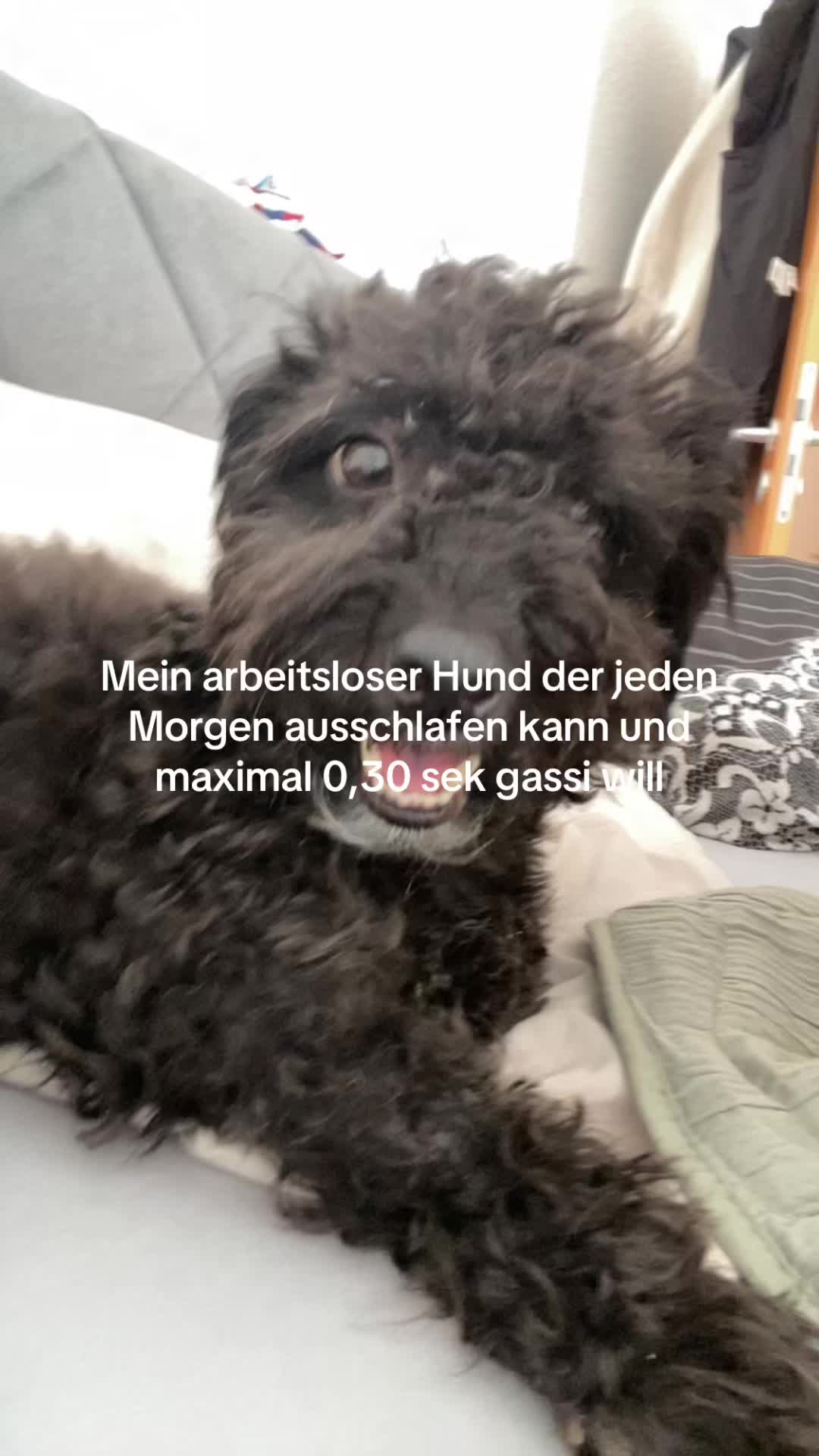 @bundeskanzlerin306