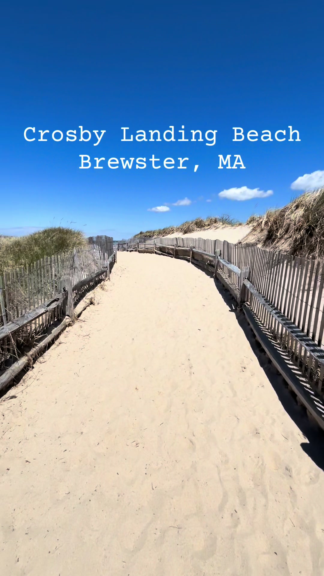 @CapeCodBeachLife