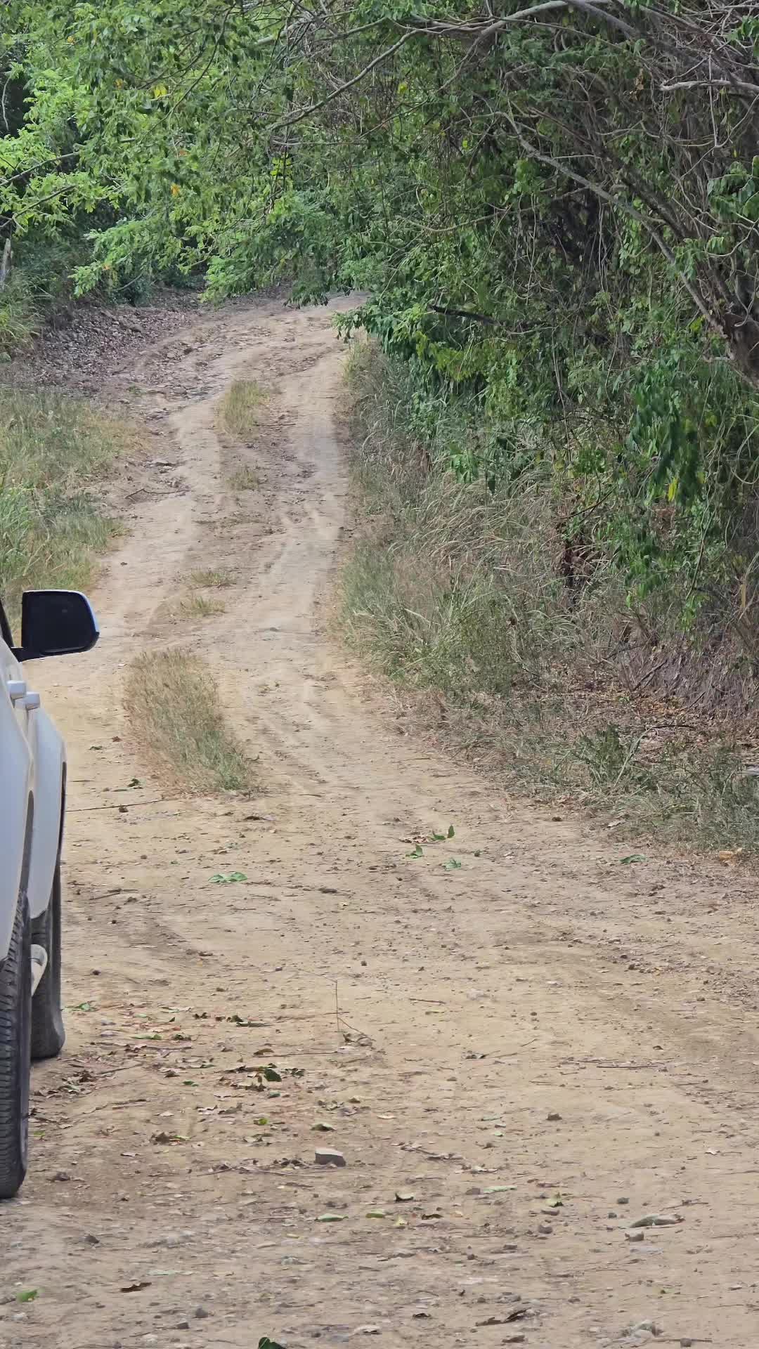 @Rosalba Deporte