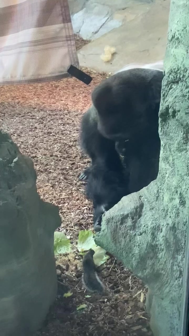 @Cincinnati Zoo