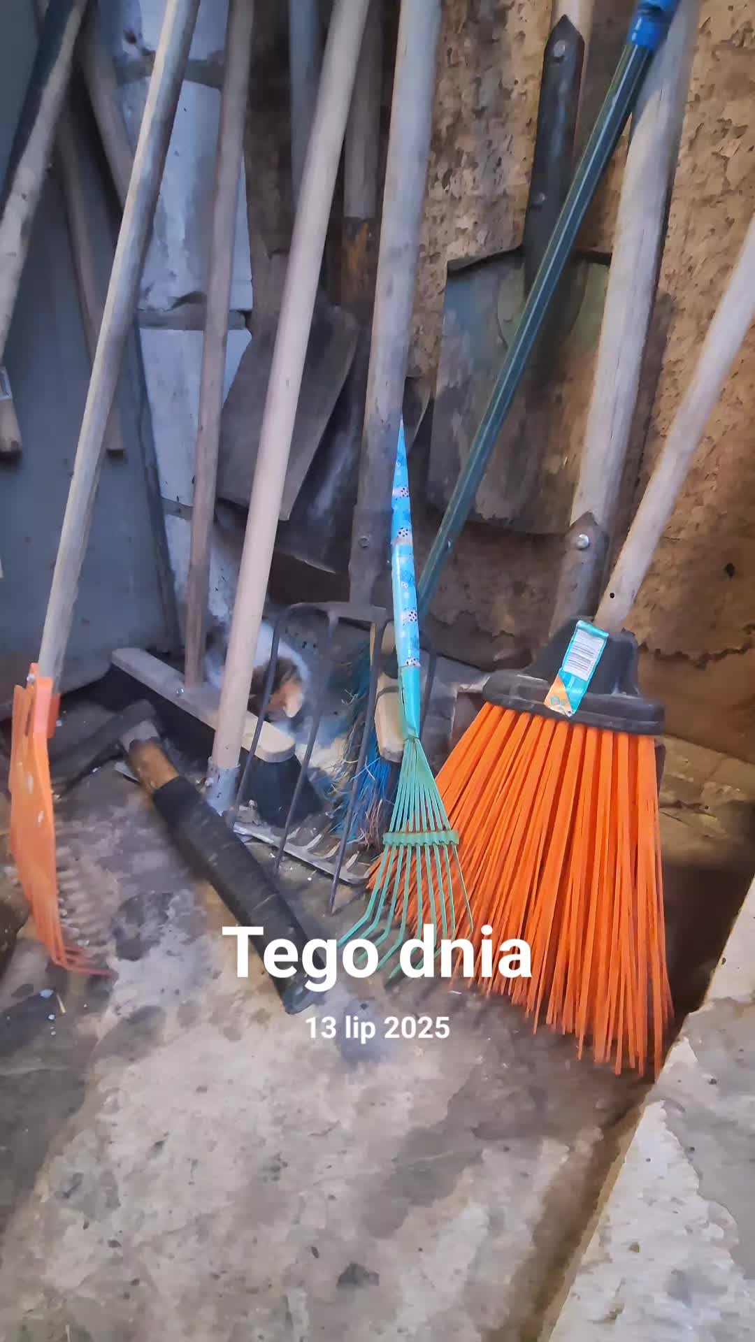 @mamanawsi-lolkafoto