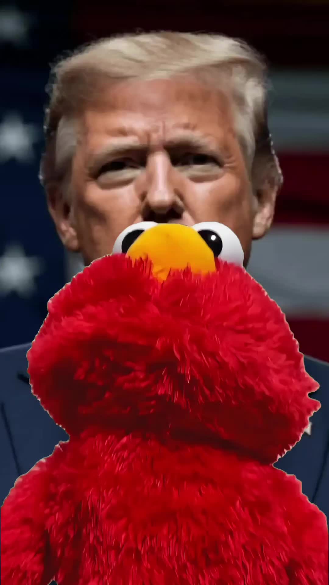 @dorothyralph2023