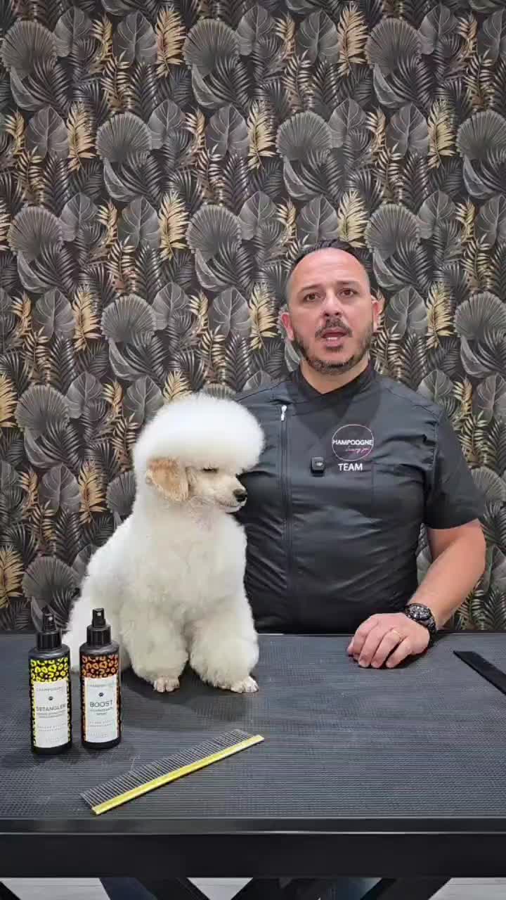 @Il mondo di Toby e Ulisse 🐩
