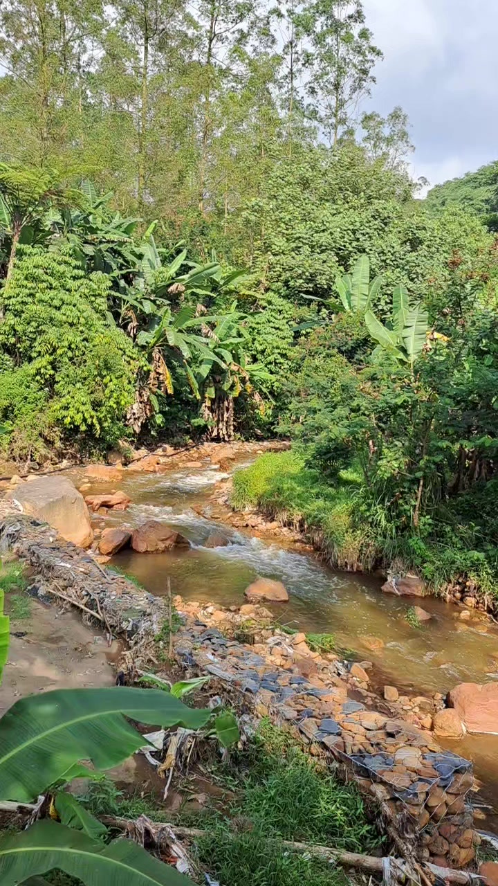 @dewidailylife