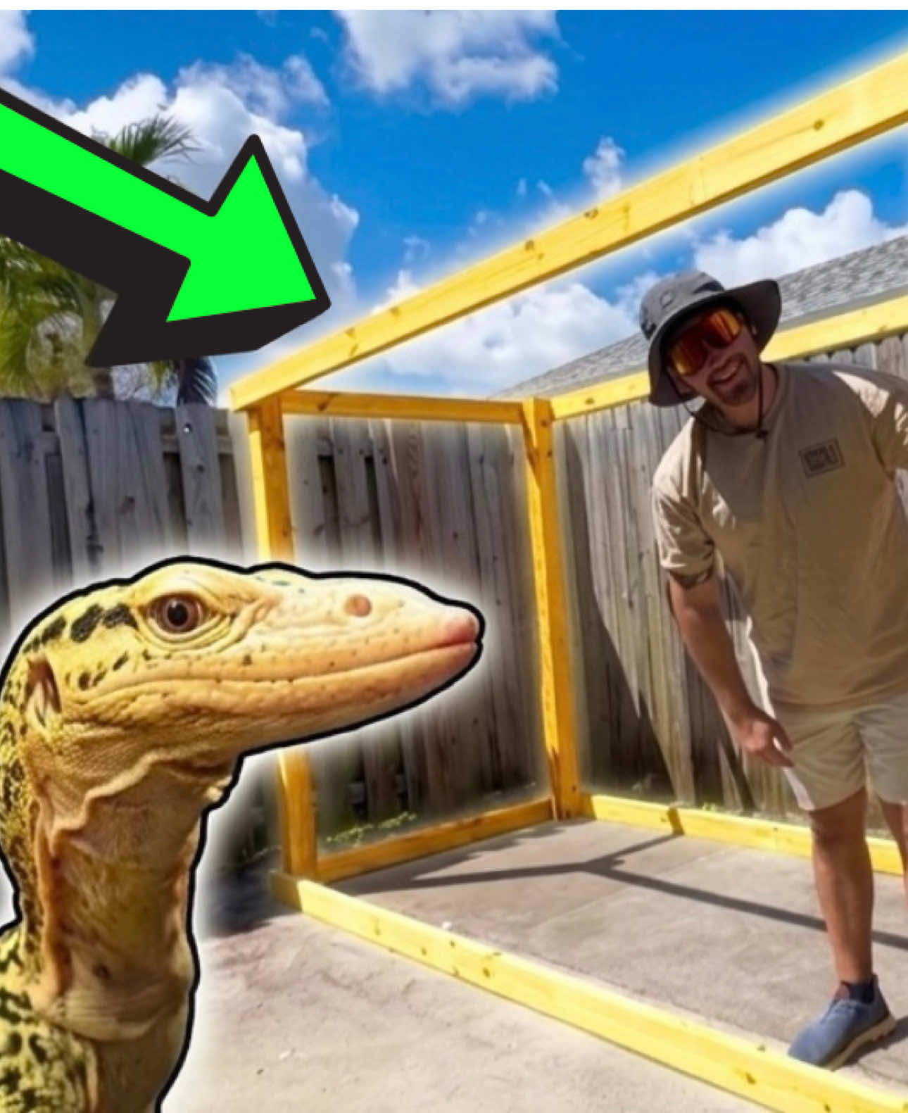 @Tommys_reptiles