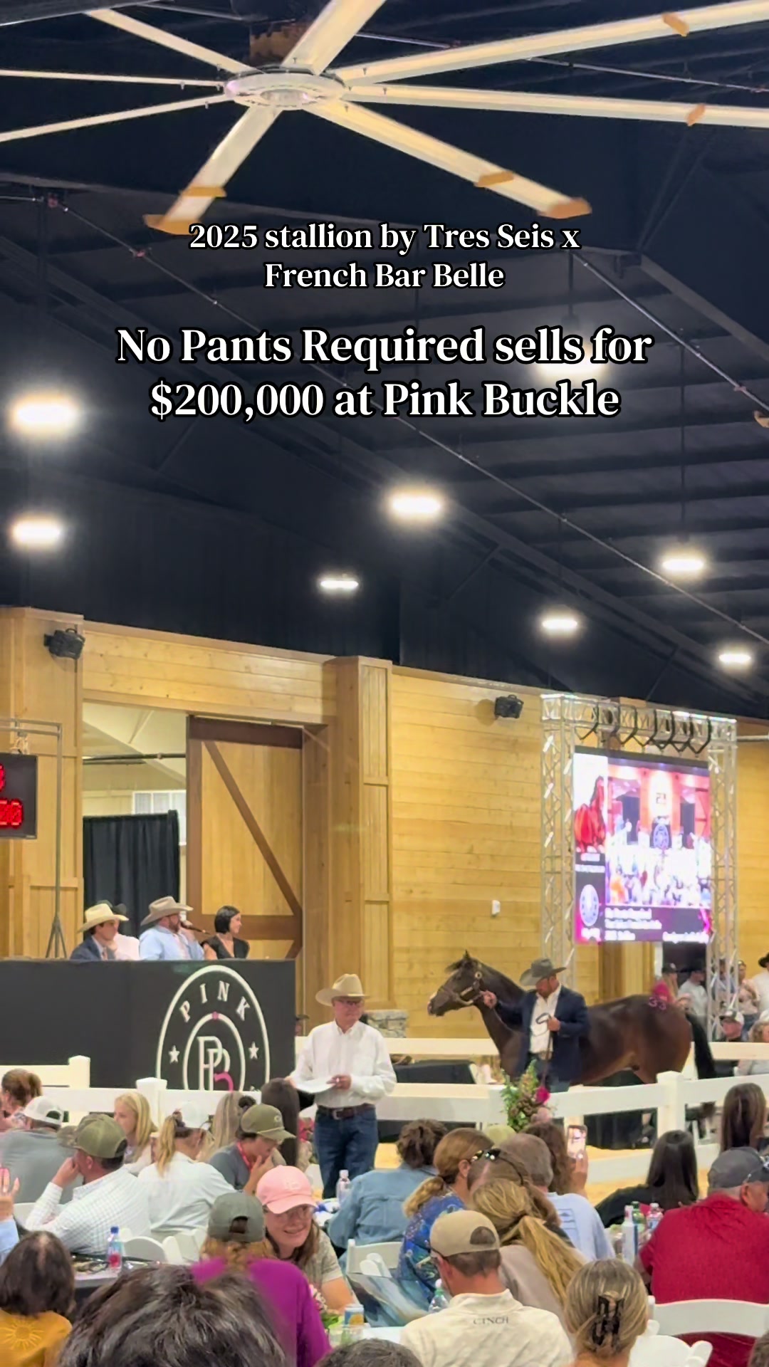 @BarrelRacing.com
