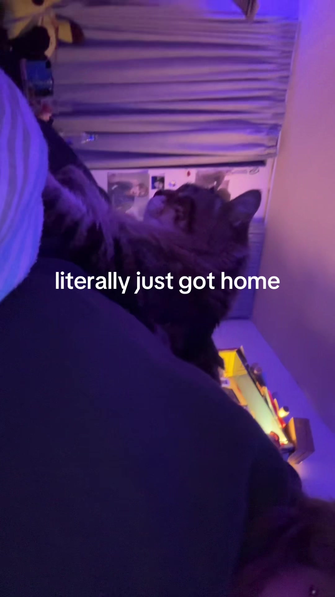 @kai0