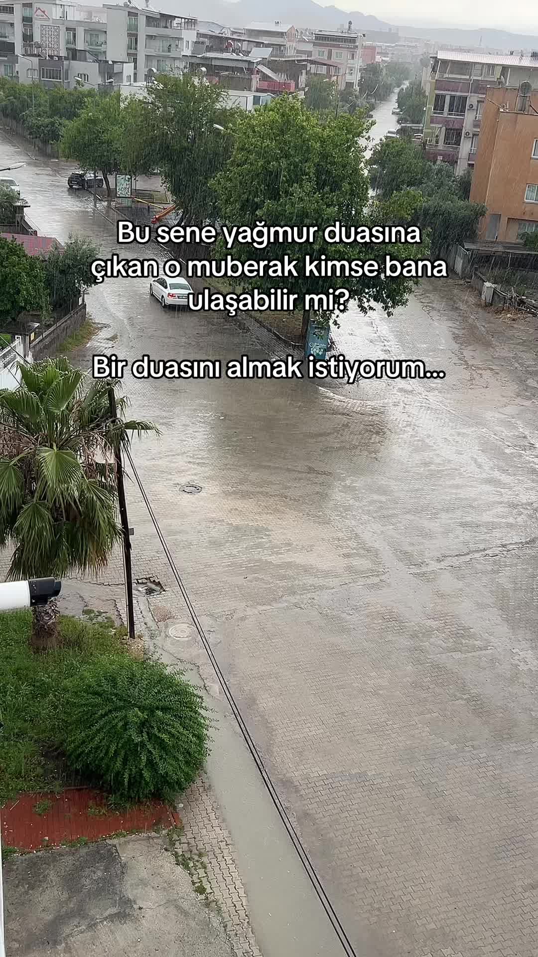 @M,G