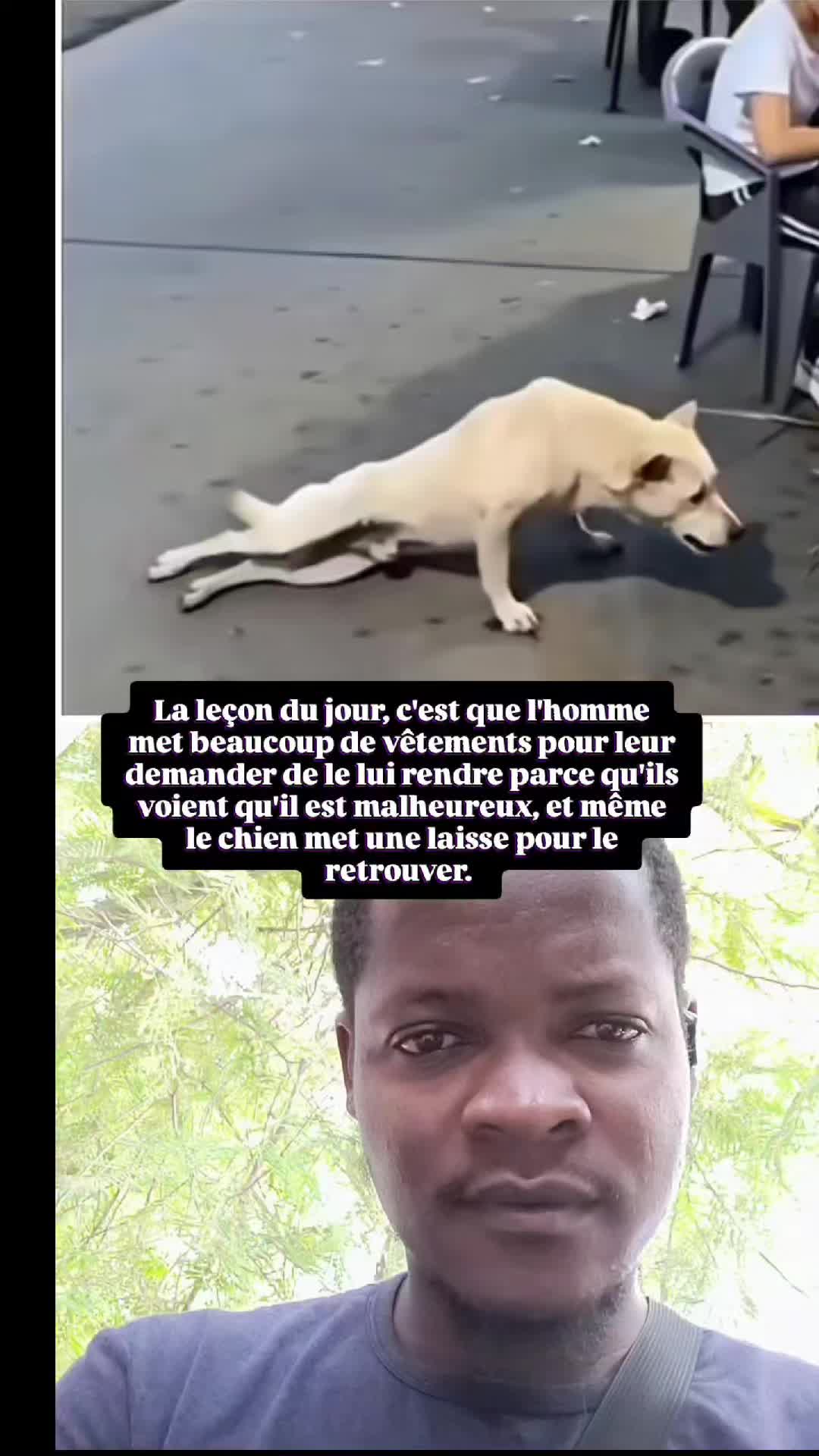 @PDG LAGUERRE 🇨🇻🇭🇹🇨🇻