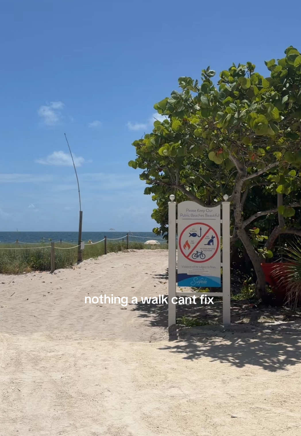 @Sharon Attias