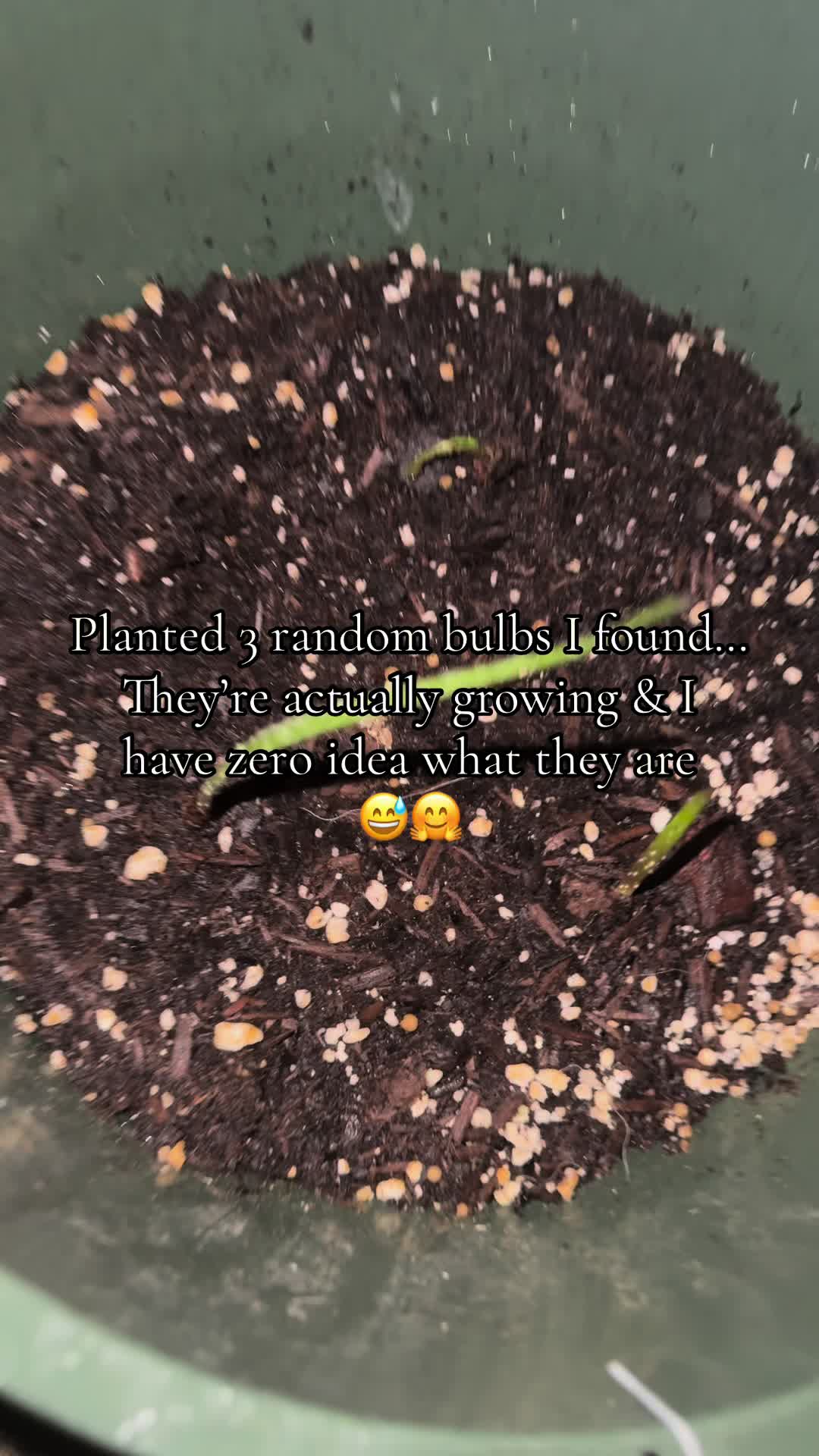 @alyssa ⚡️🖤