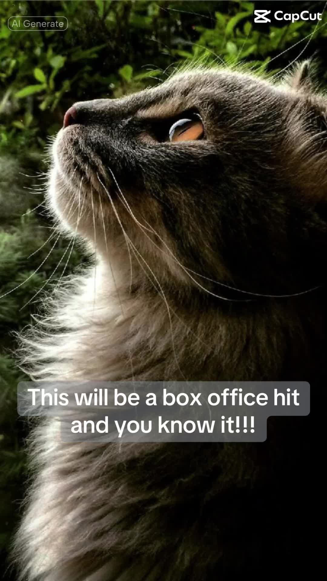 @Cindle_the_music_mom