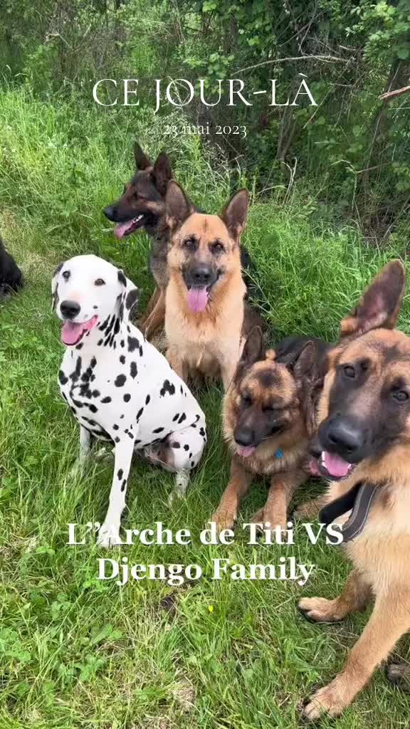 @Tiphanie Titi Hervie