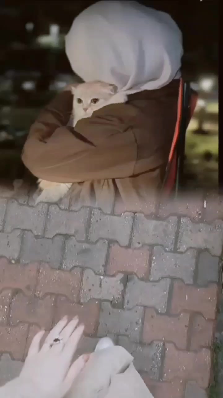 @🫀👑ٱدلبـ᭓ـية آڪـ᭓ـابࢪ 👑🫀