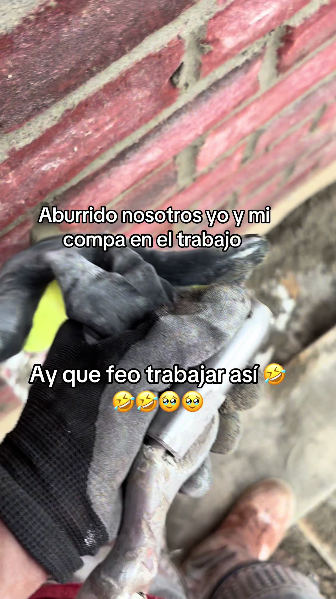 @El moreno🤨😍:)