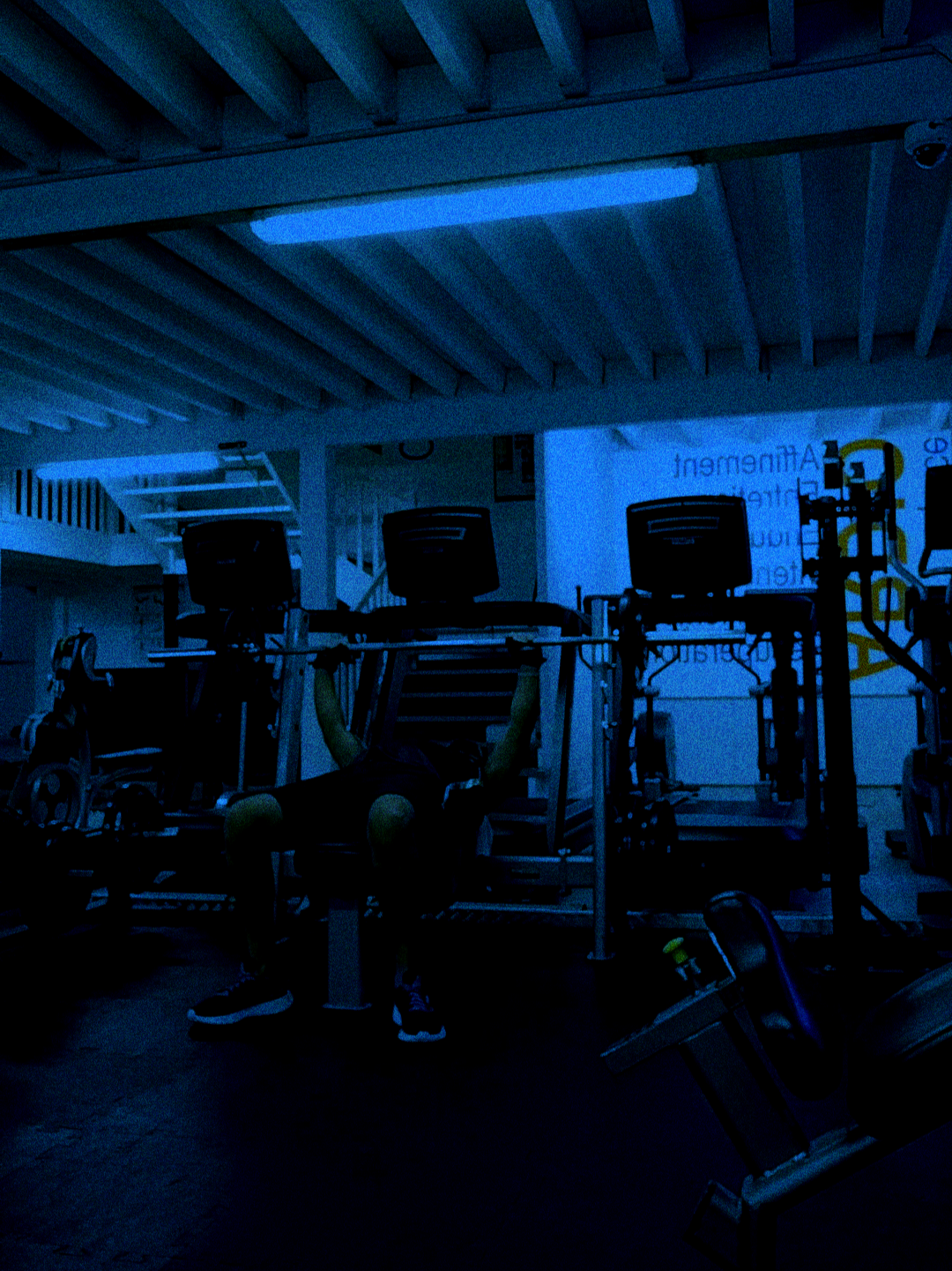 @🏋️🥊 Angelus 🎬🌹