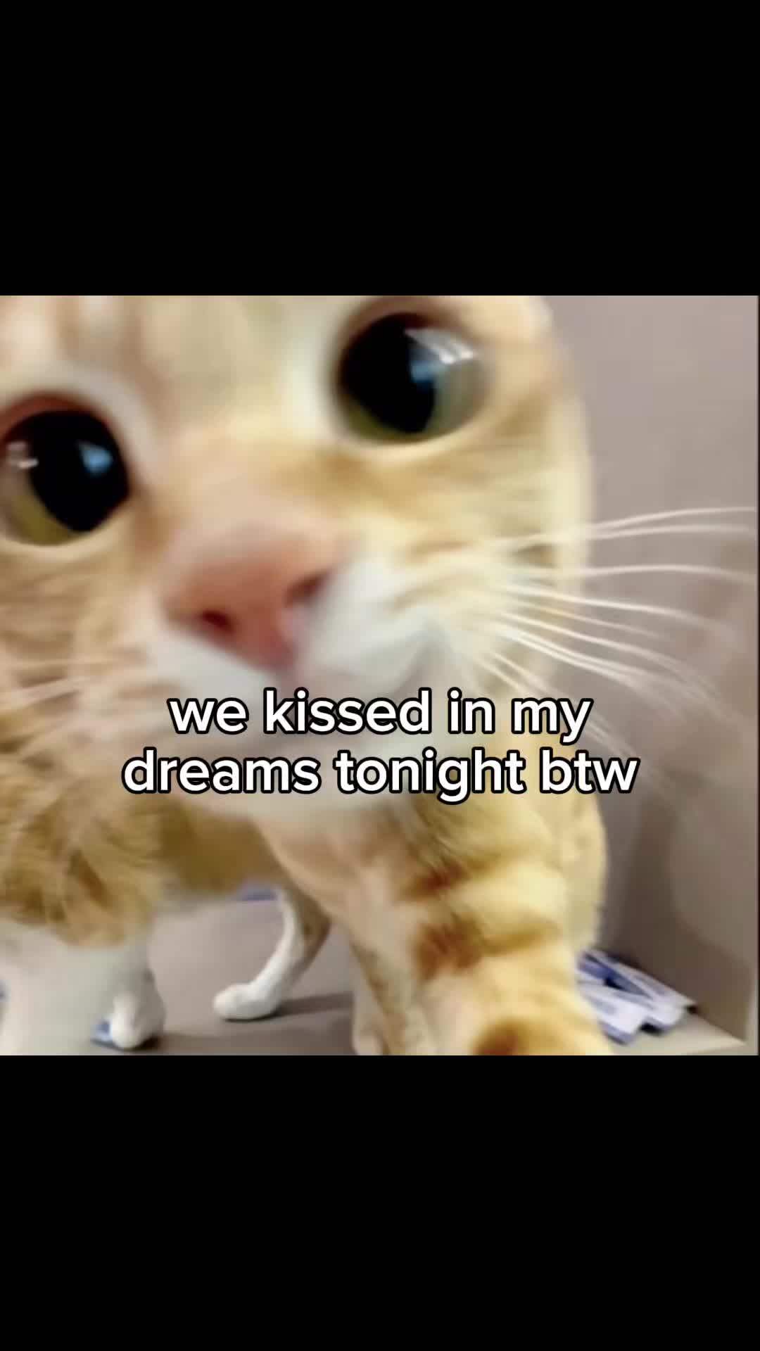 @lucyylow