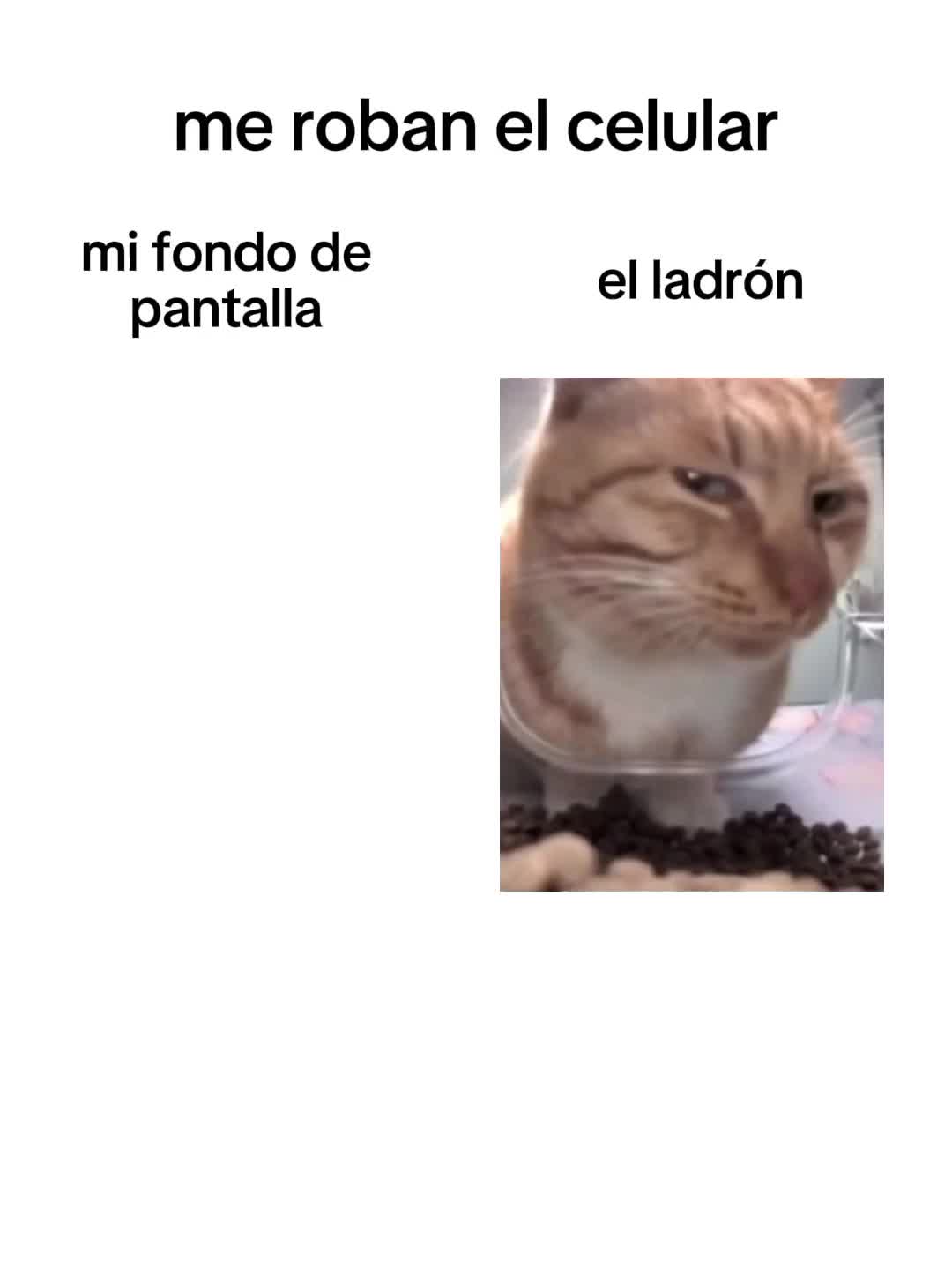 @neyva