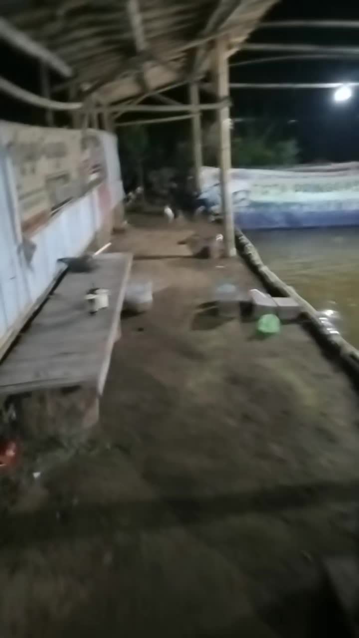 @thochip_09