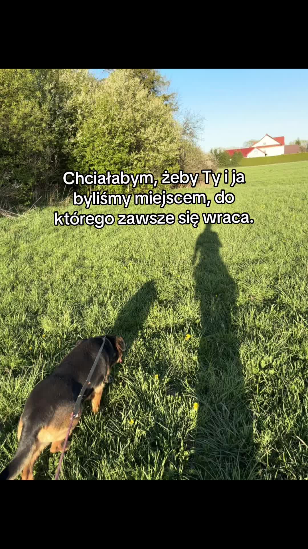 @cytaty