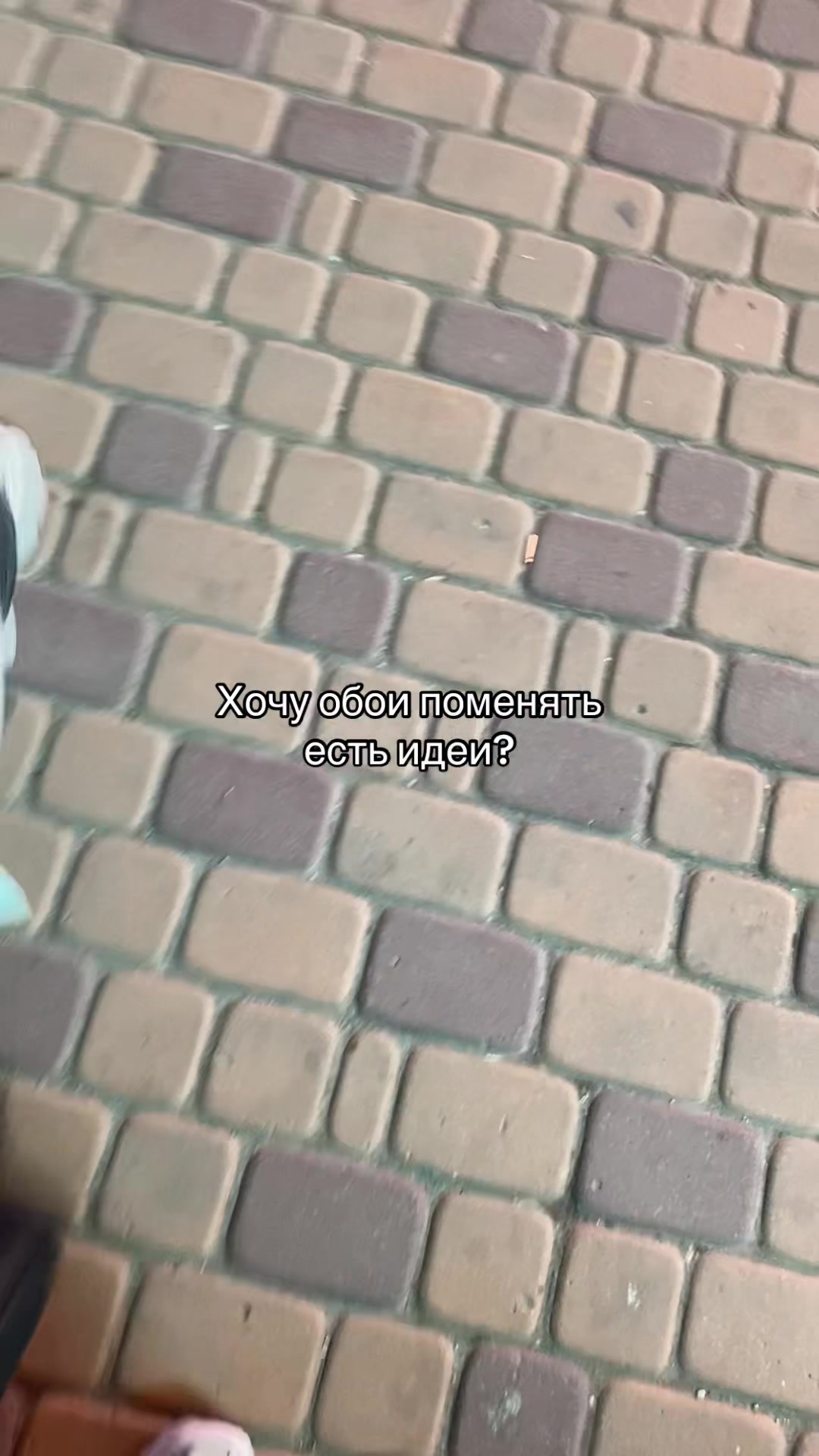@✰𝟕𝟓𝟓✮