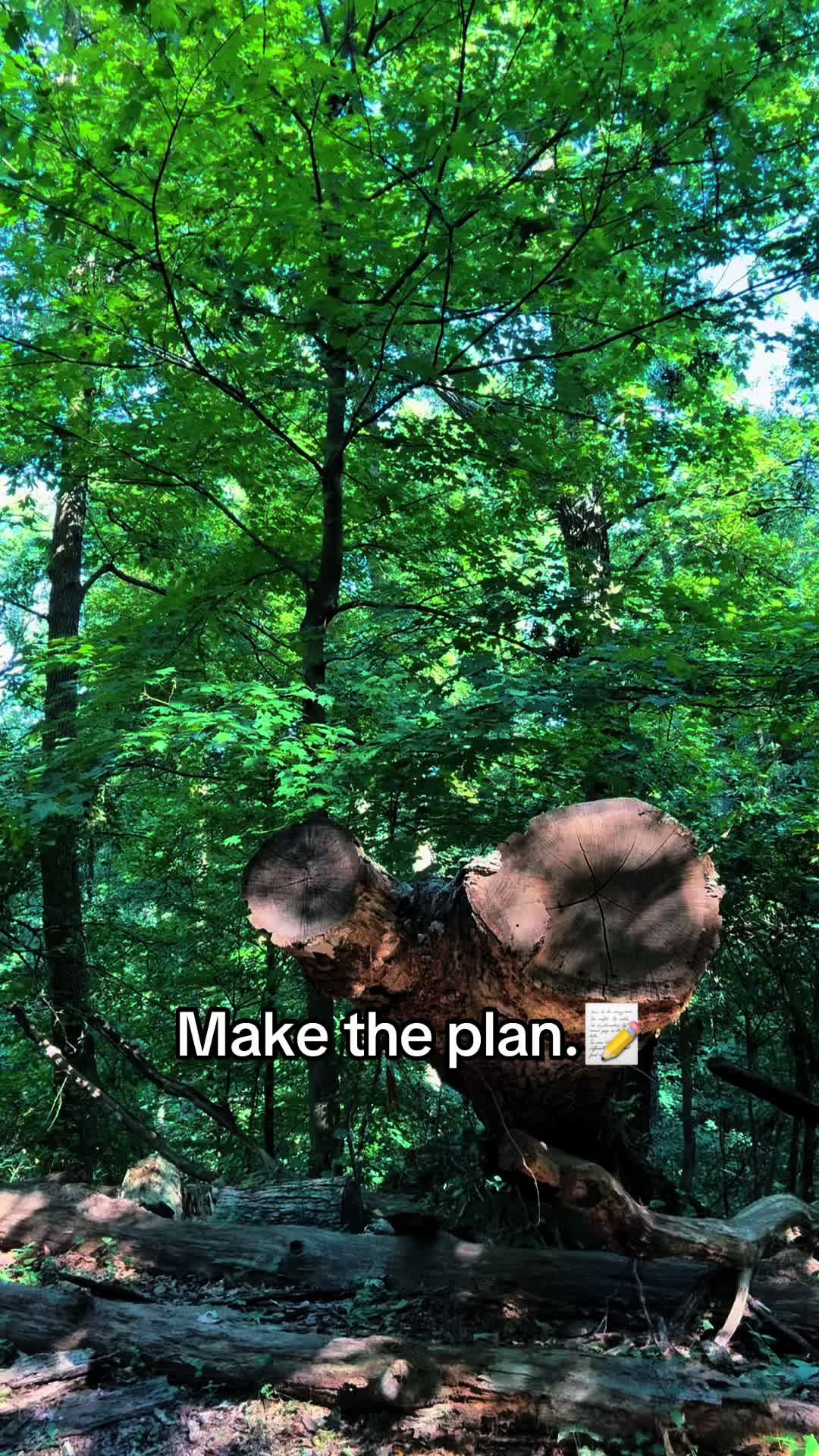 @ThePharmDHealer ®