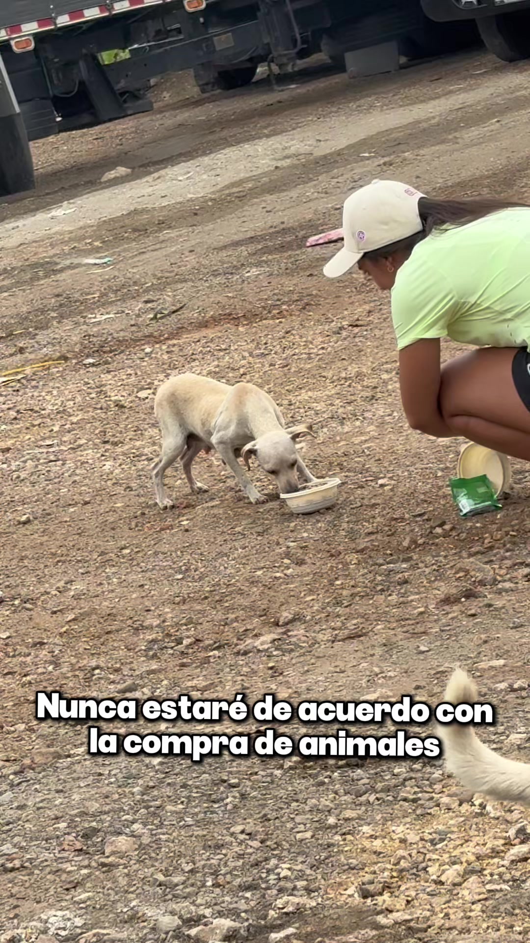 @Guayaquiliando
