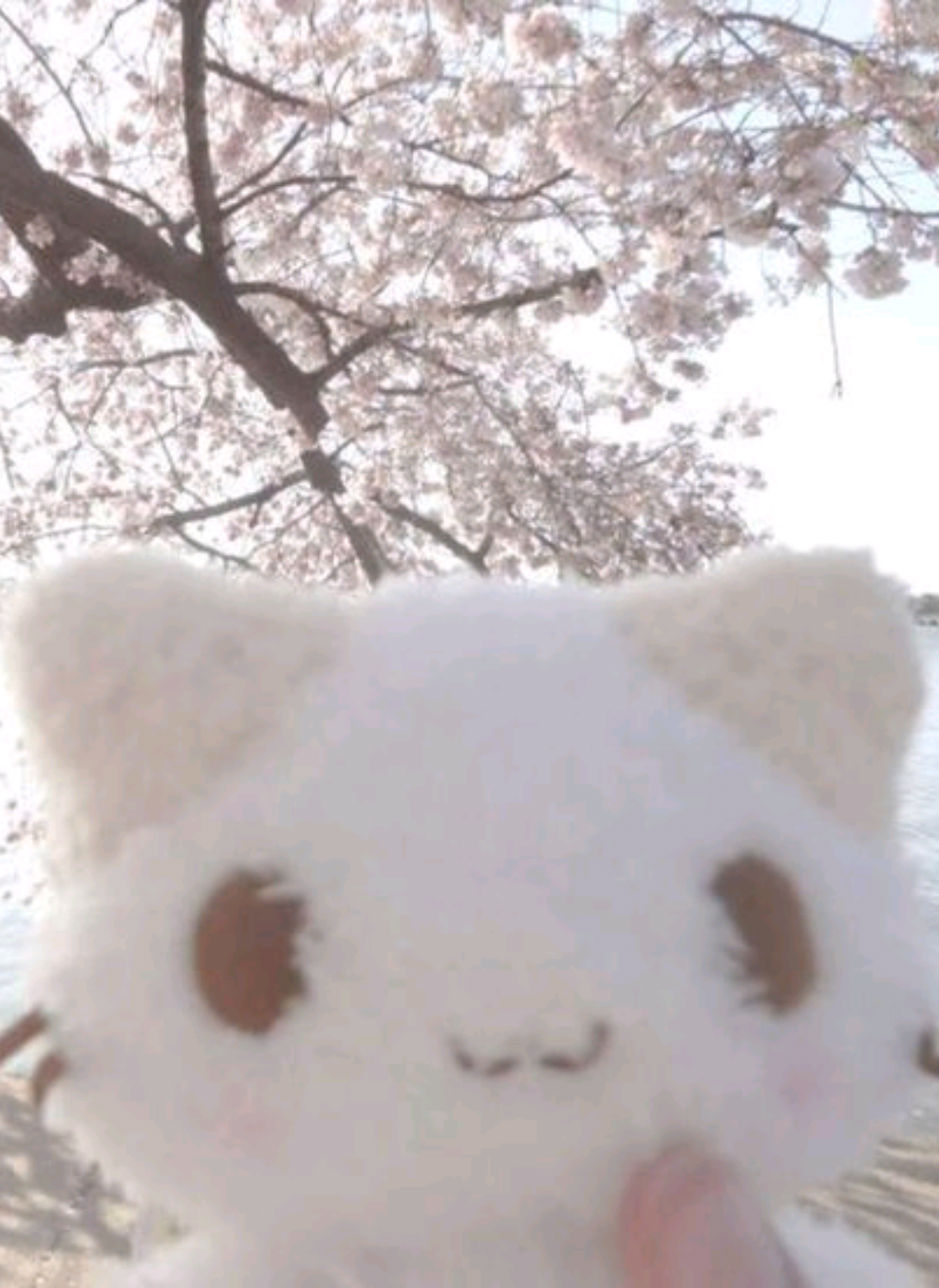 @Nyx-3mi/ Noxi ꒰ঌ(⃔ ⌯' '⌯)⃕໒꒱