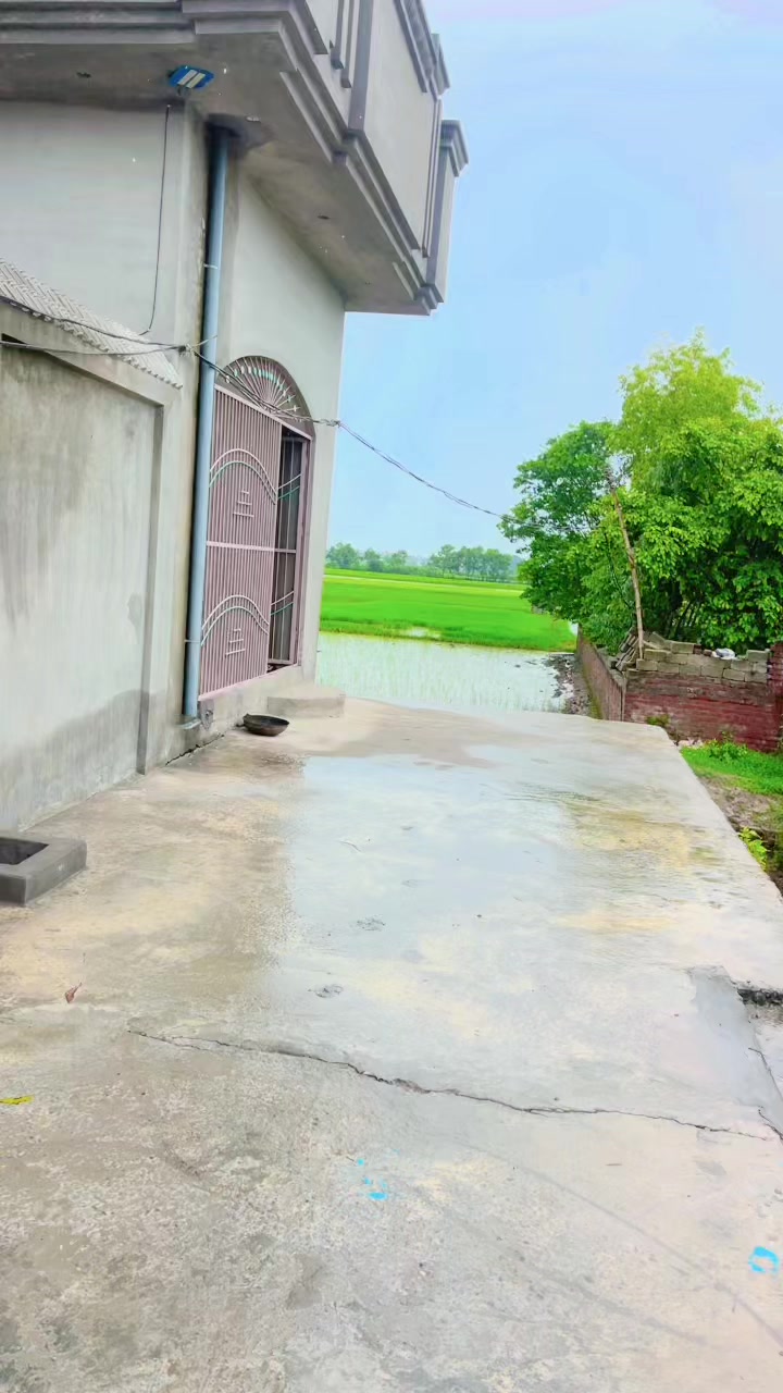 @Tanveergujjar786
