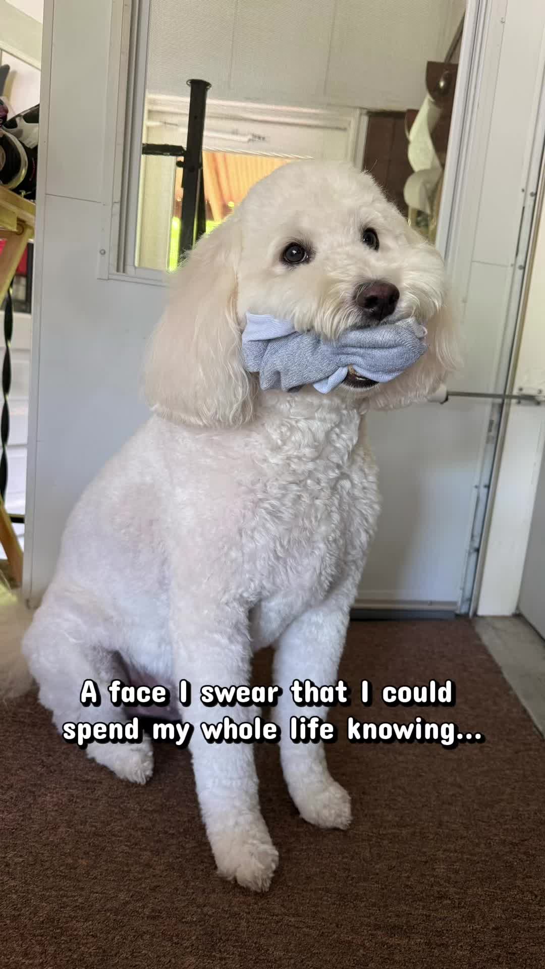 @Enzo the Dood