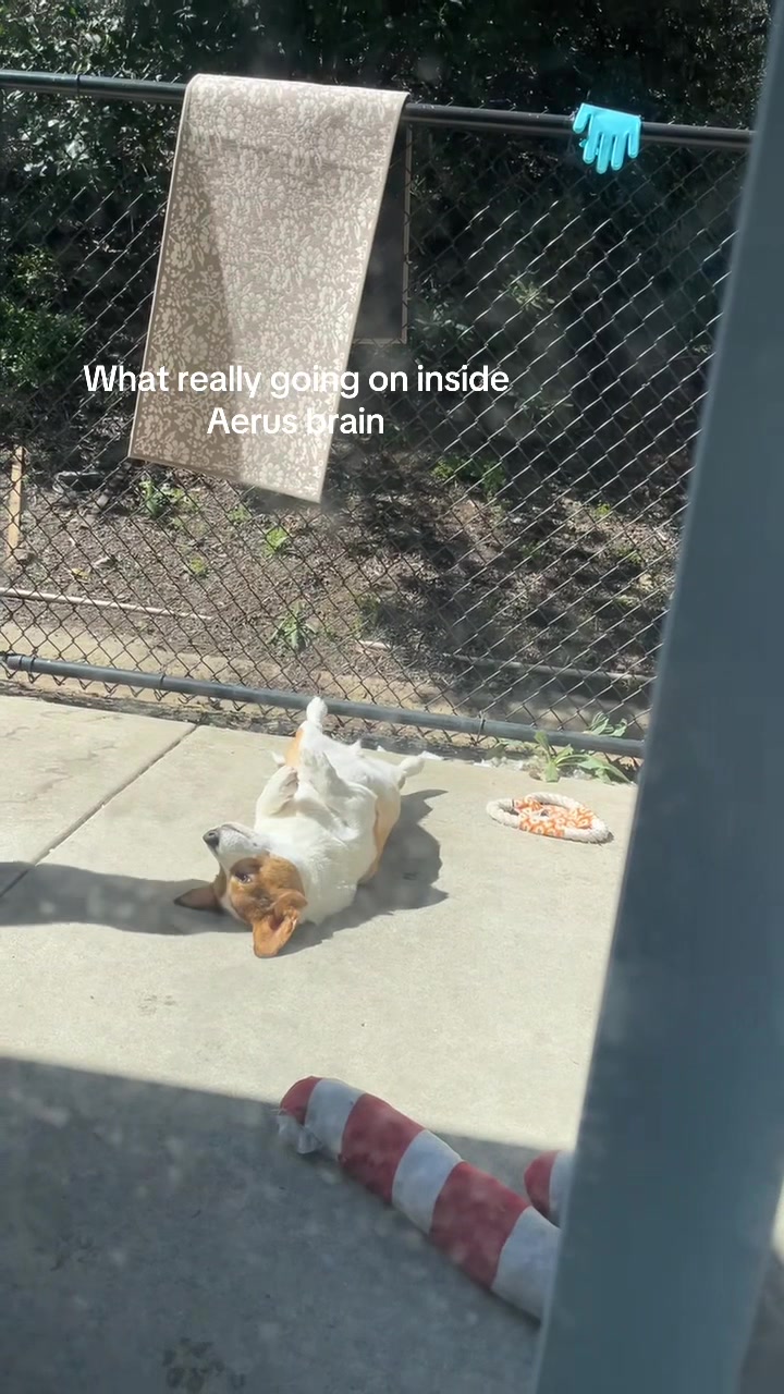 @aerusroommate