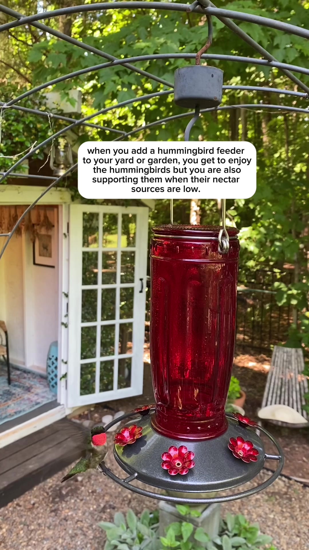 @The Ever Hopeful Gardener