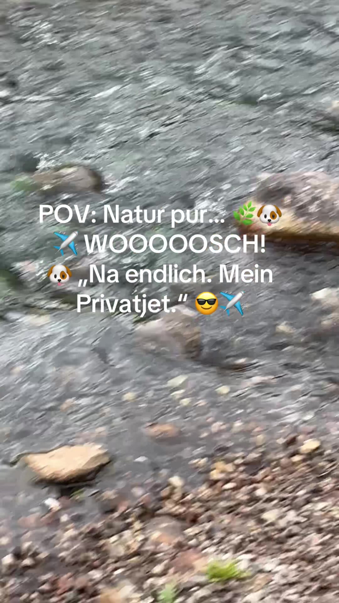 @DogMilow