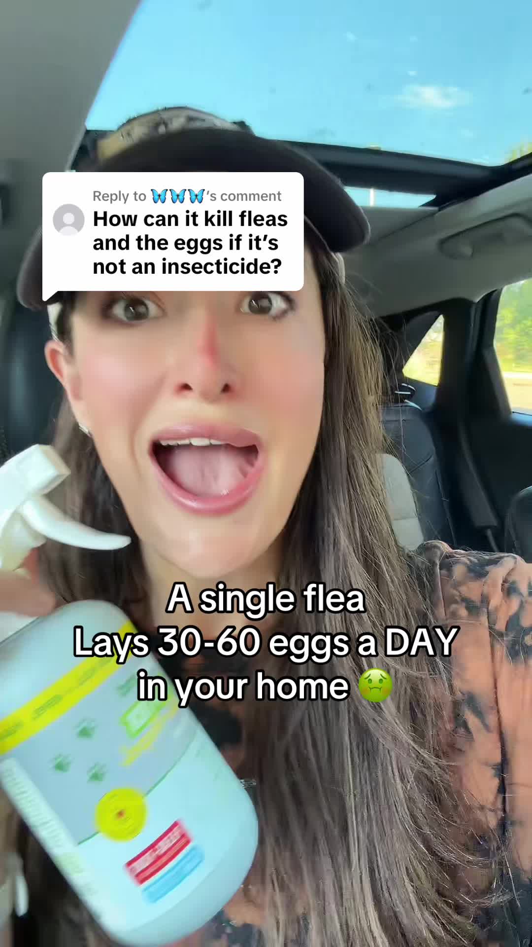 @Vital Paces