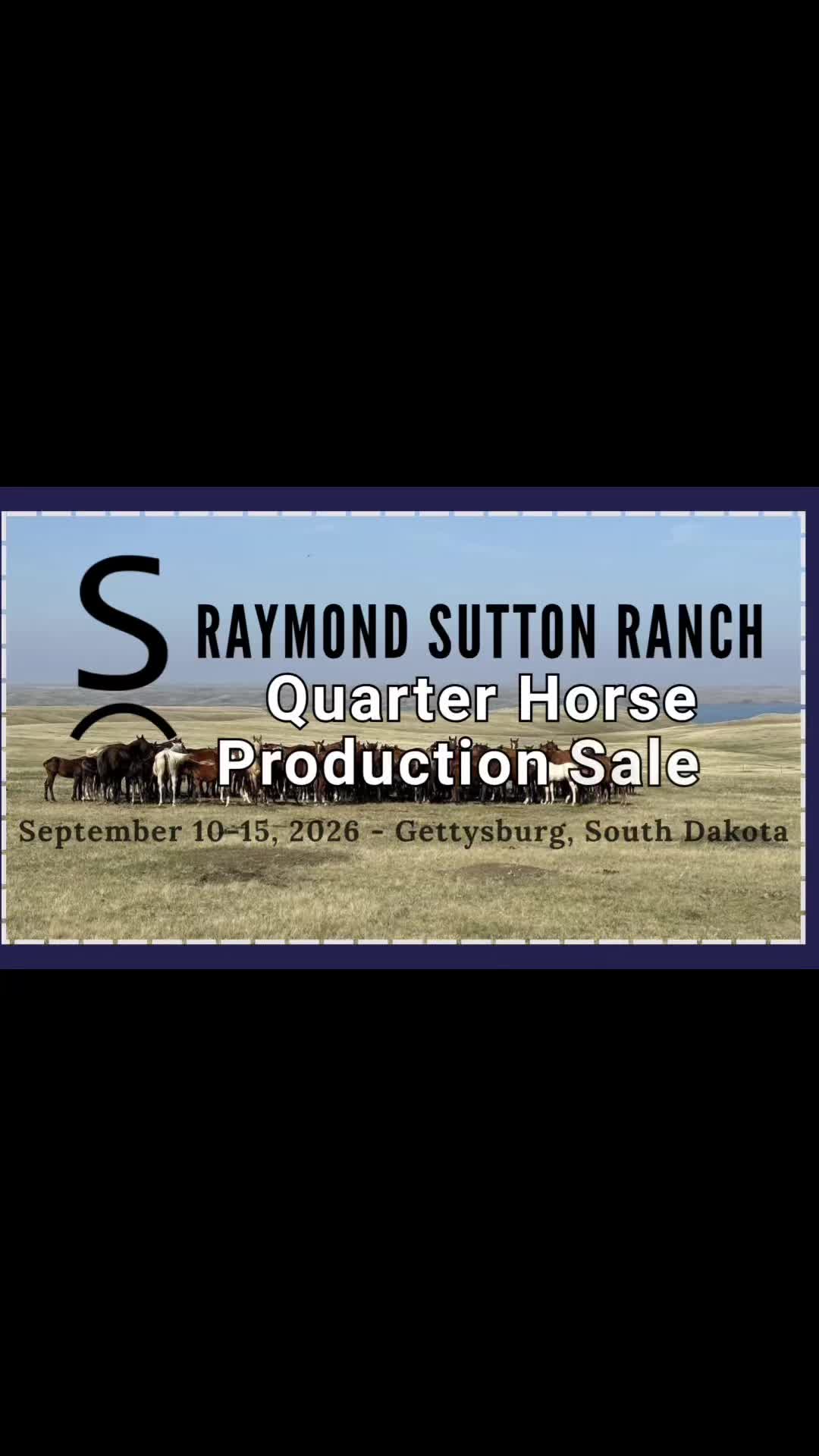 @HorseAuctionsUSA