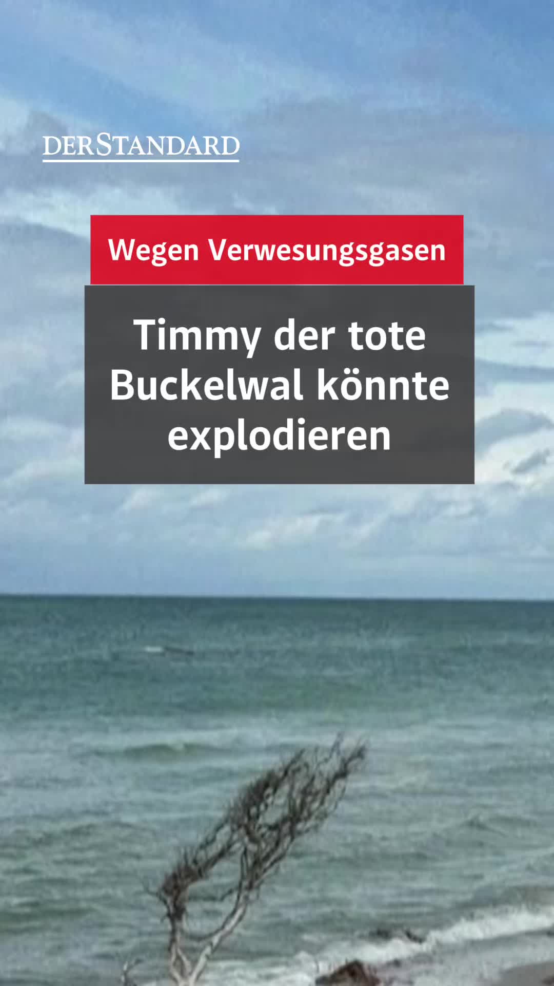 @DER STANDARD News