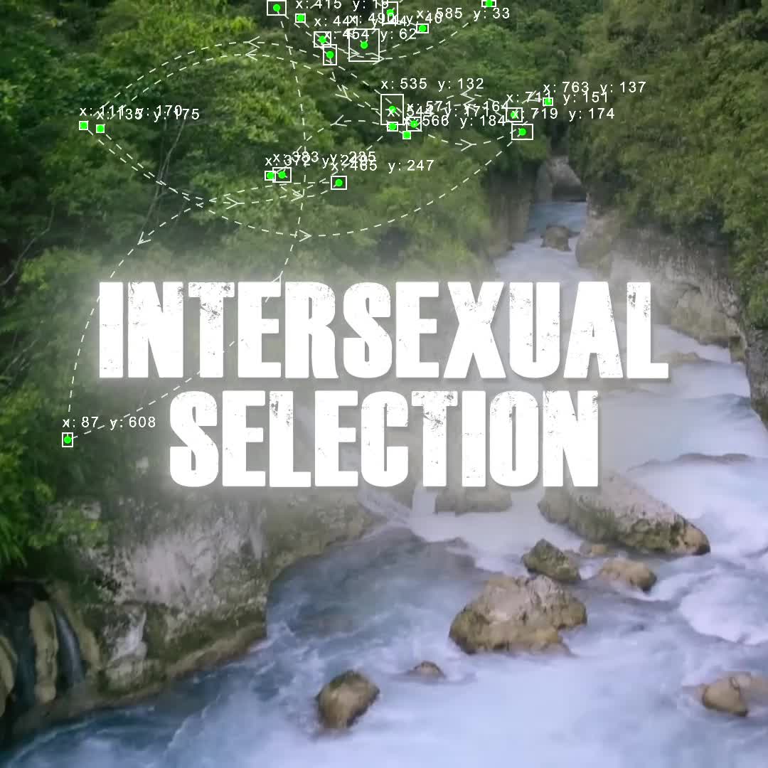 @intersexualselection