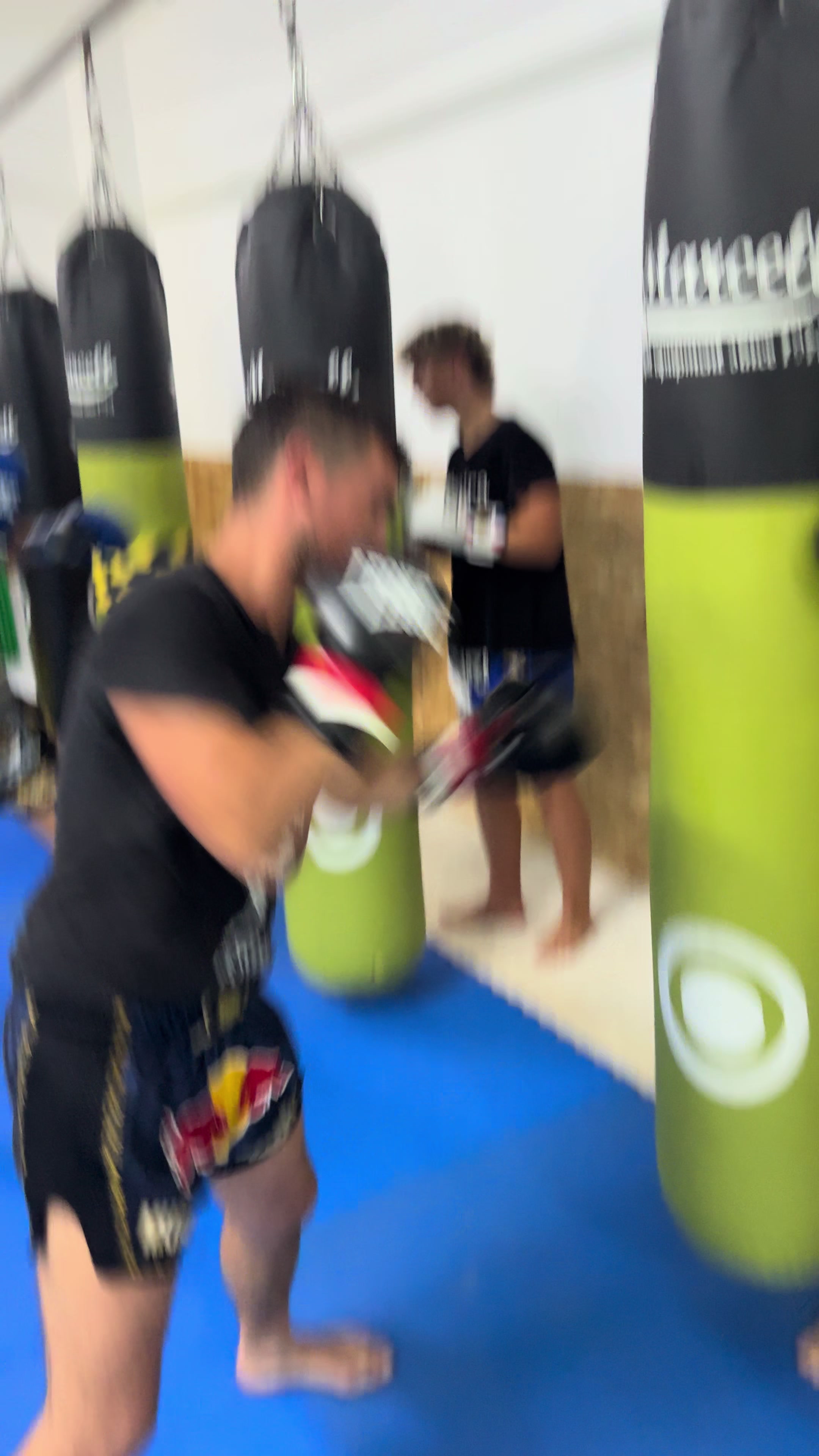 @Gianfranco Ponte Trainer