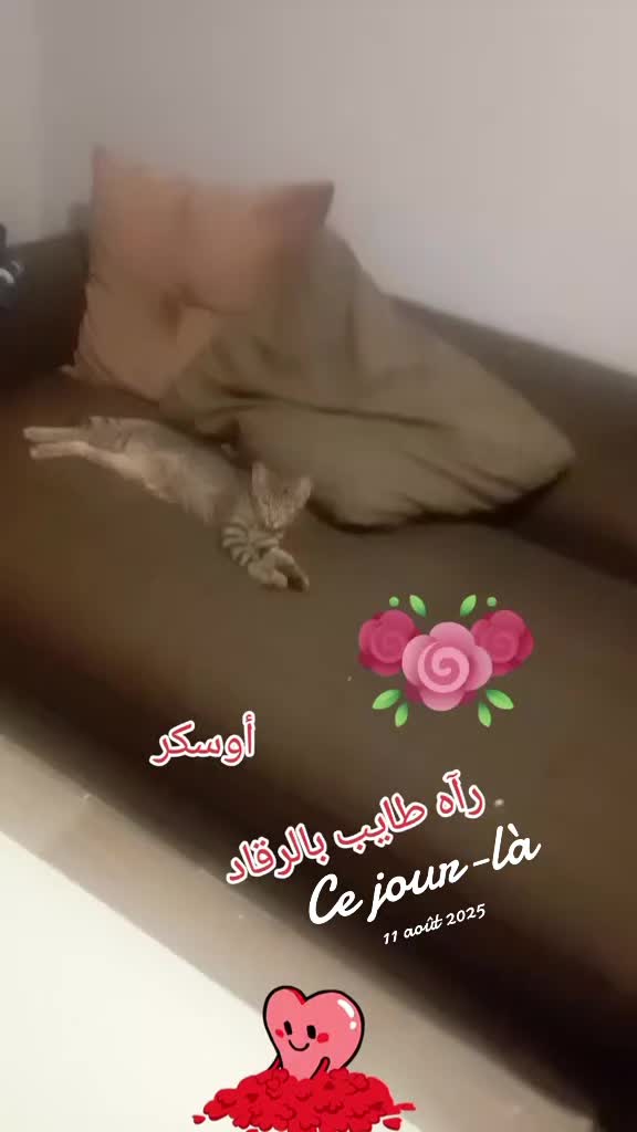 @Mohamed Souleymane